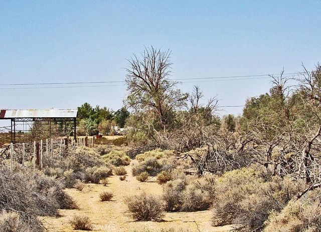0 0531-151-31-0000 Silver Valley Road, Newberry Springs, CA 92365