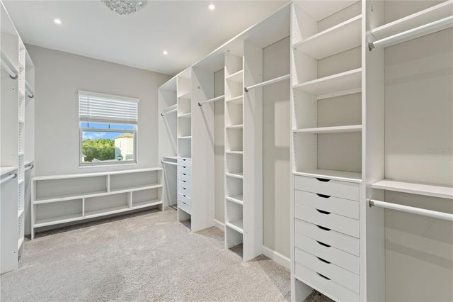 3123 HILLIARD DR, Wesley Chapel, FL 33543