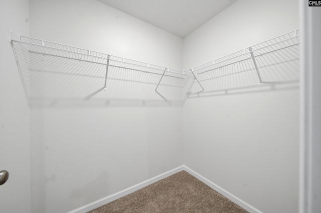 828 Yellow Swan Lane, Columbia, SC 29210