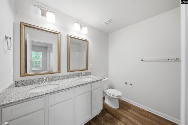 828 Yellow Swan Lane, Columbia, SC 29210