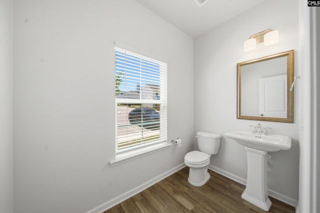 828 Yellow Swan Lane, Columbia, SC 29210