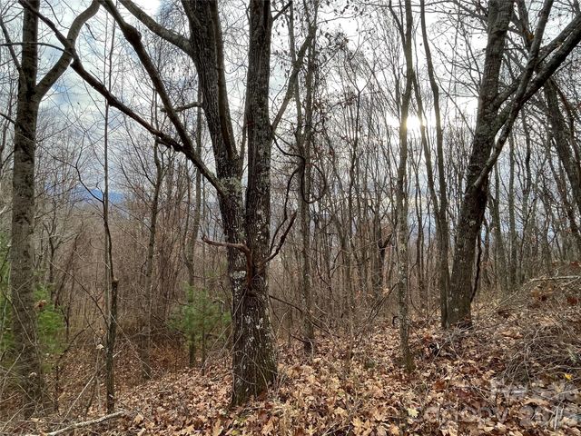 10 Peacock Lane 19, Burnsville, NC 28714
