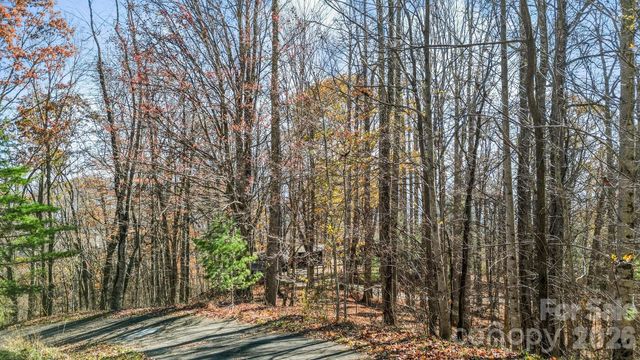 10 Peacock Lane 19, Burnsville, NC 28714