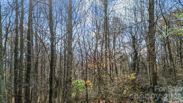 10 Peacock Lane 19, Burnsville, NC 28714