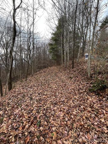 10 Peacock Lane 19, Burnsville, NC 28714