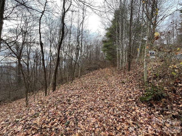 10 Peacock Lane 19, Burnsville, NC 28714