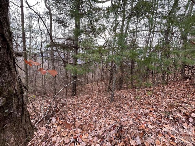 10 Peacock Lane 19, Burnsville, NC 28714
