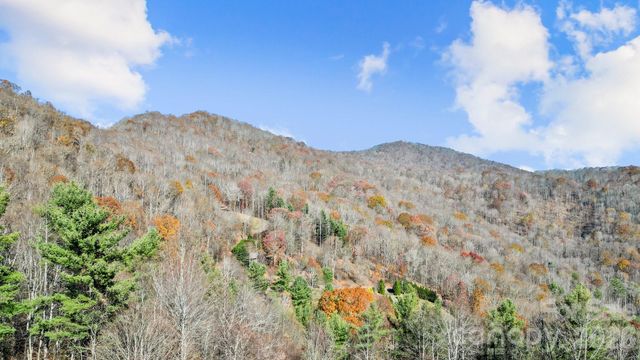 10 Peacock Lane 19, Burnsville, NC 28714