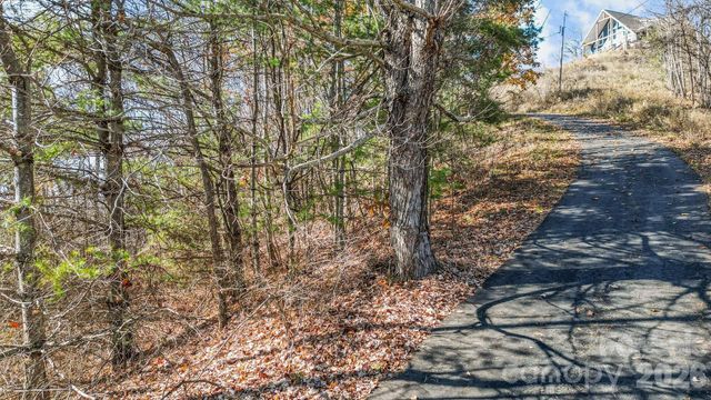 10 Peacock Lane 19, Burnsville, NC 28714