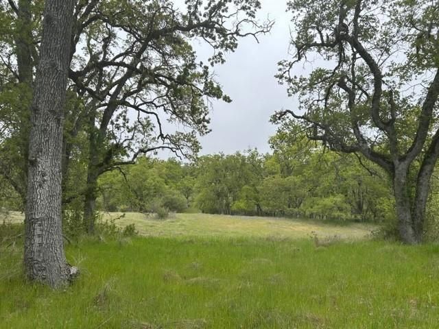 0 Lambert Flat Road, Carmel Valley, CA 93924