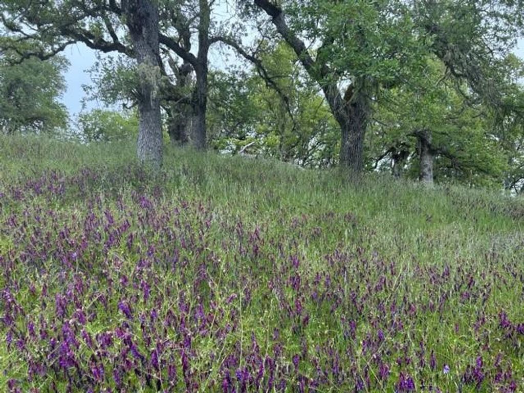 0 Lambert Flat Road, Carmel Valley, CA 93924