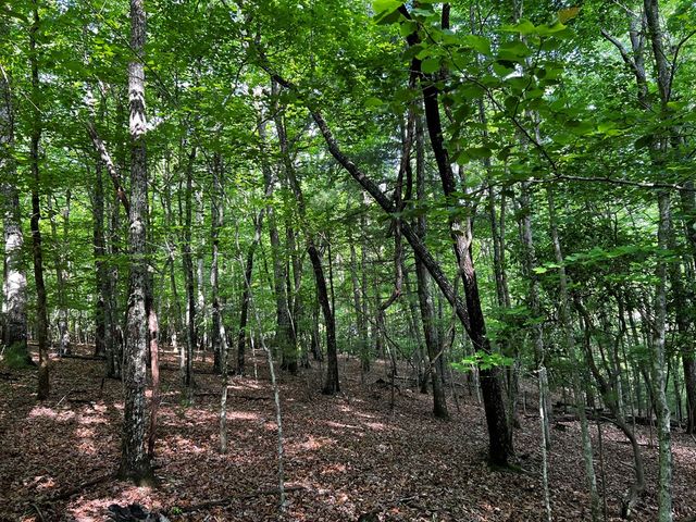 3.52 AC Payne Way, Blairsville, GA 30512