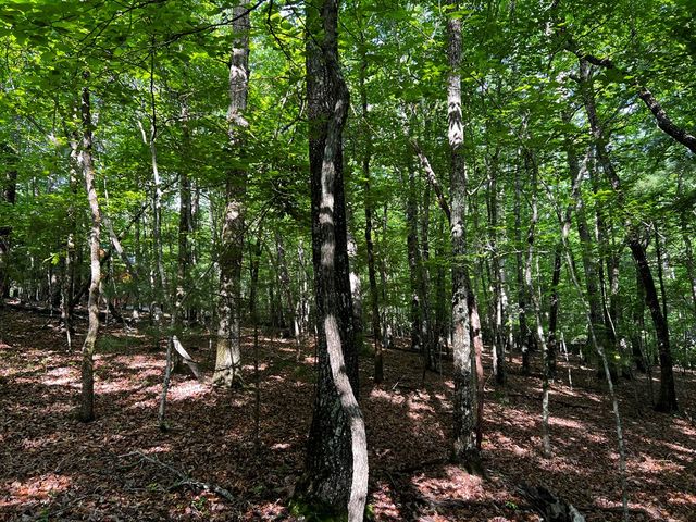 3.52 AC Payne Way, Blairsville, GA 30512
