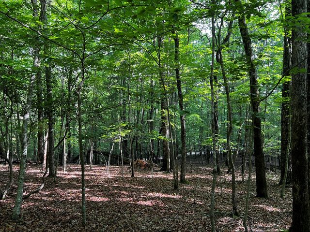 3.52 AC Payne Way, Blairsville, GA 30512