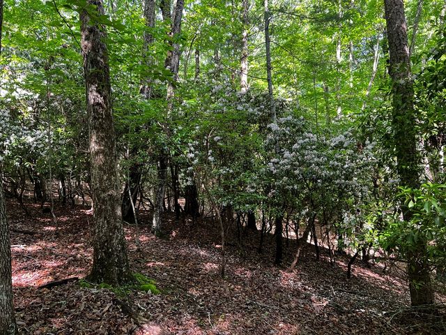 3.52 AC Payne Way, Blairsville, GA 30512