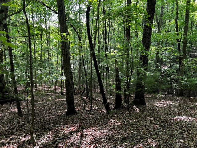 3.52 AC Payne Way, Blairsville, GA 30512