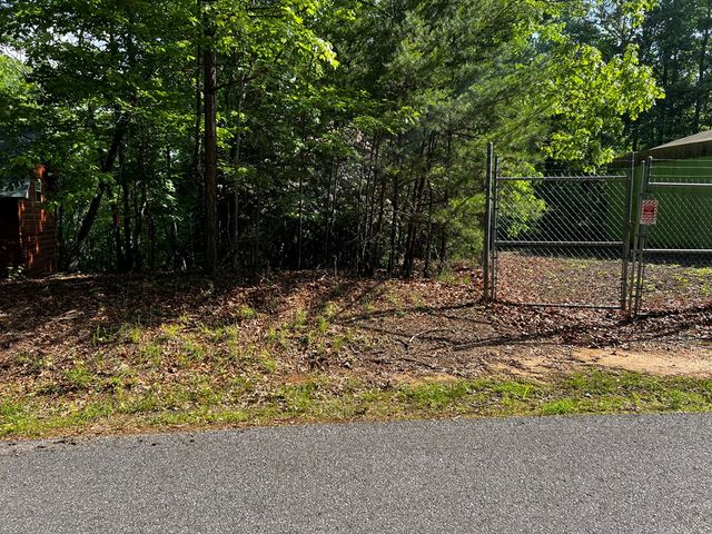 3.52 AC Payne Way, Blairsville, GA 30512