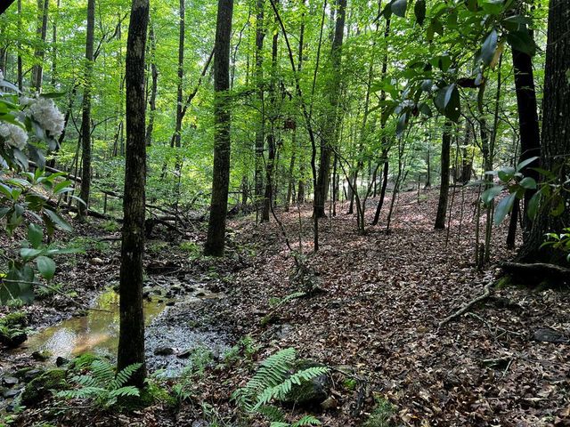 3.52 AC Payne Way, Blairsville, GA 30512