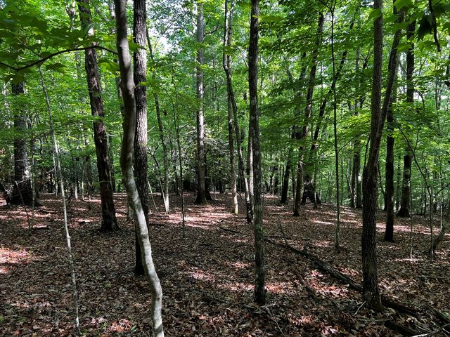 3.52 AC Payne Way, Blairsville, GA 30512