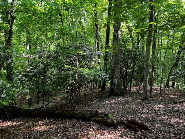 3.52 AC Payne Way, Blairsville, GA 30512