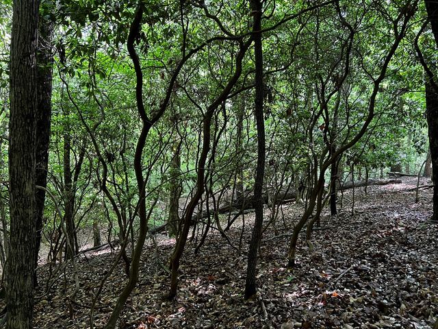 3.52 AC Payne Way, Blairsville, GA 30512