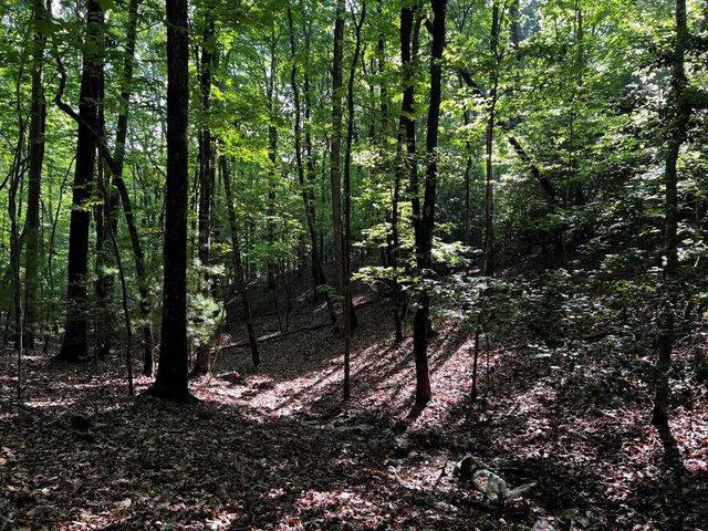 3.52 AC Payne Way, Blairsville, GA 30512