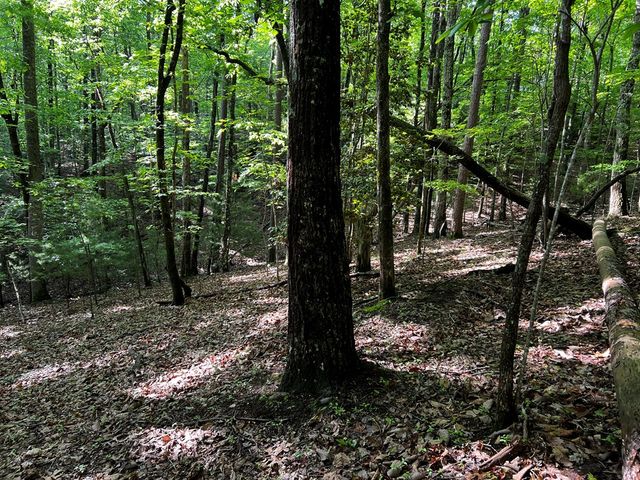 3.52 AC Payne Way, Blairsville, GA 30512