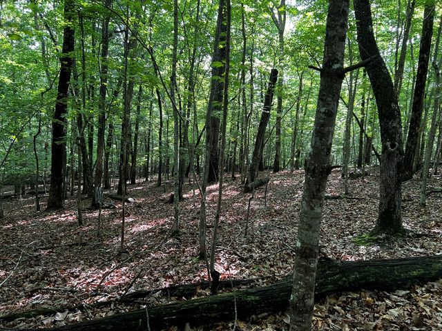 3.52 AC Payne Way, Blairsville, GA 30512