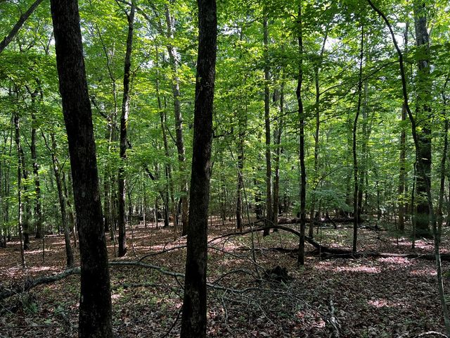 3.52 AC Payne Way, Blairsville, GA 30512