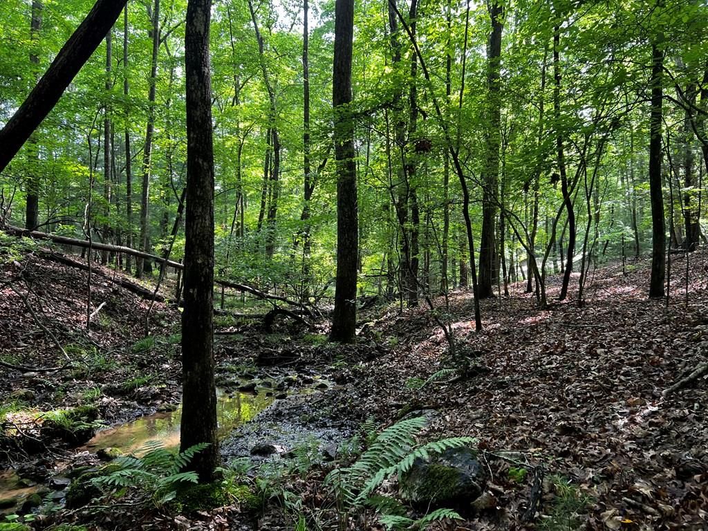 3.52 AC Payne Way, Blairsville, GA 30512