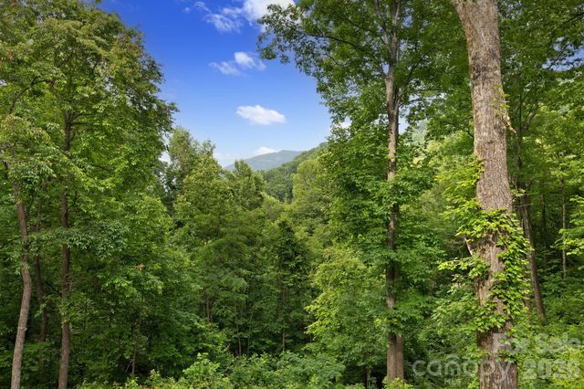 771 Sally Gap Road, Old Fort, NC 28762