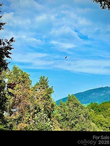 771 Sally Gap Road, Old Fort, NC 28762