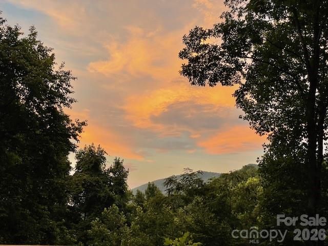 771 Sally Gap Road, Old Fort, NC 28762