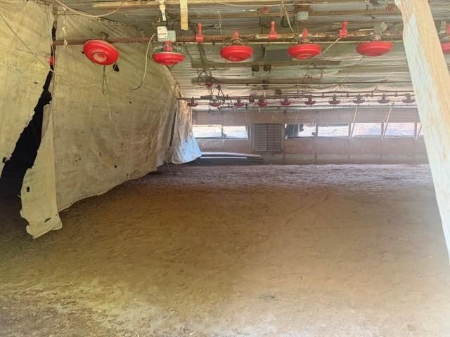 257 Stancil Road, Ball Ground, GA 30107