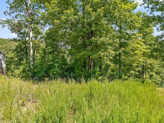 15887 Channel Pointe Drive, Sale Creek, TN 37373