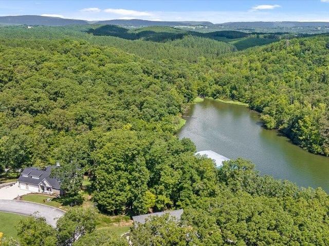15887 Channel Pointe Drive, Sale Creek, TN 37373