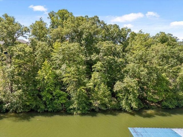 15887 Channel Pointe Drive, Sale Creek, TN 37373