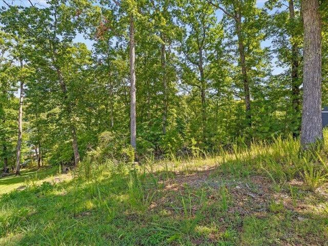 15887 Channel Pointe Drive, Sale Creek, TN 37373