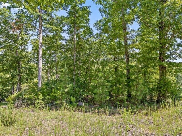 15887 Channel Pointe Drive, Sale Creek, TN 37373