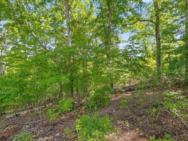15887 Channel Pointe Drive, Sale Creek, TN 37373