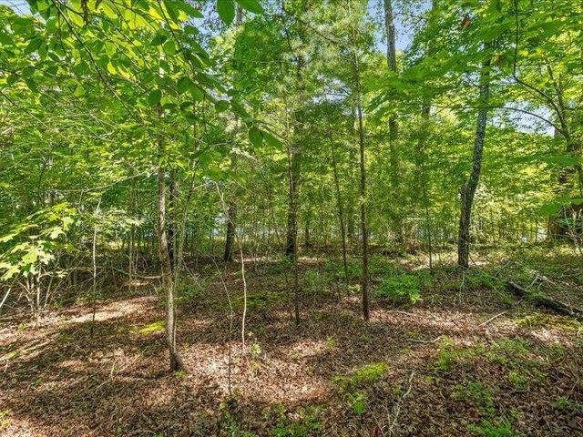 15887 Channel Pointe Drive, Sale Creek, TN 37373