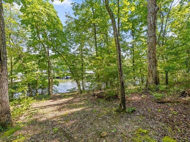 15887 Channel Pointe Drive, Sale Creek, TN 37373