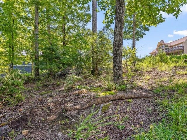 15887 Channel Pointe Drive, Sale Creek, TN 37373