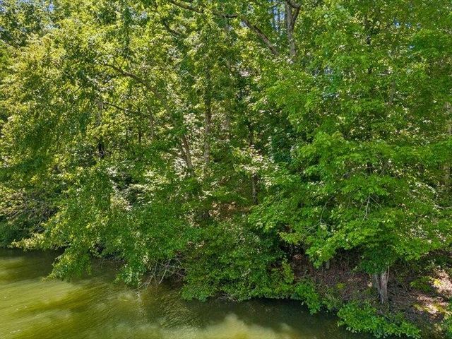 15887 Channel Pointe Drive, Sale Creek, TN 37373
