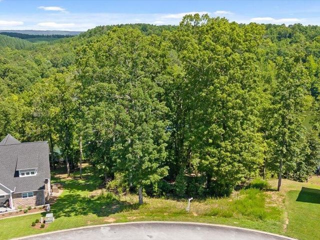 15887 Channel Pointe Drive, Sale Creek, TN 37373