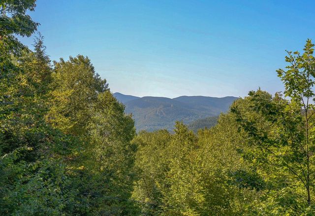 38 Iron Ledge Road, Bartlett, NH 03812