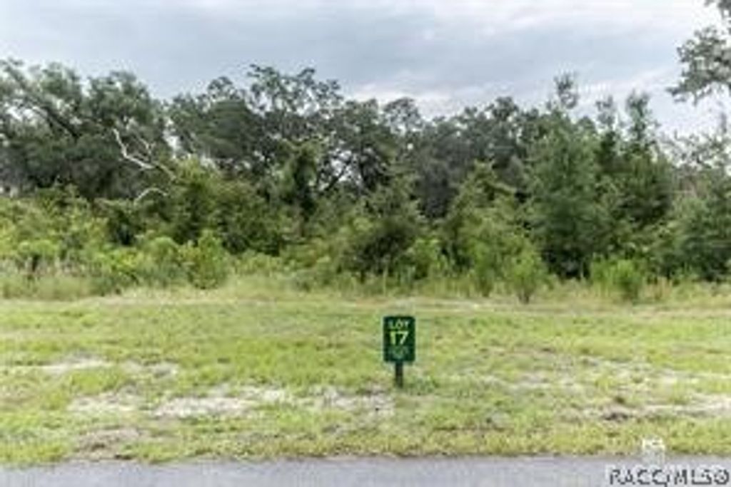 1417 Oxford Preserve Trail, Oxford, FL 34484