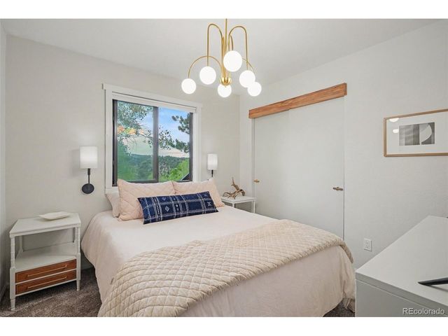 38 Pinon Rd, Bailey, CO 80421