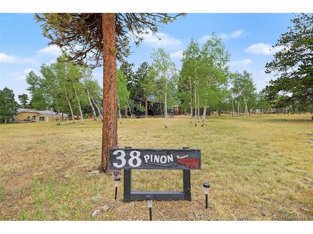 38 Pinon Rd, Bailey, CO 80421