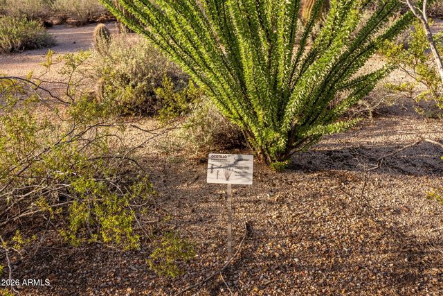 33962 N 70TH Street, Scottsdale, AZ 85266